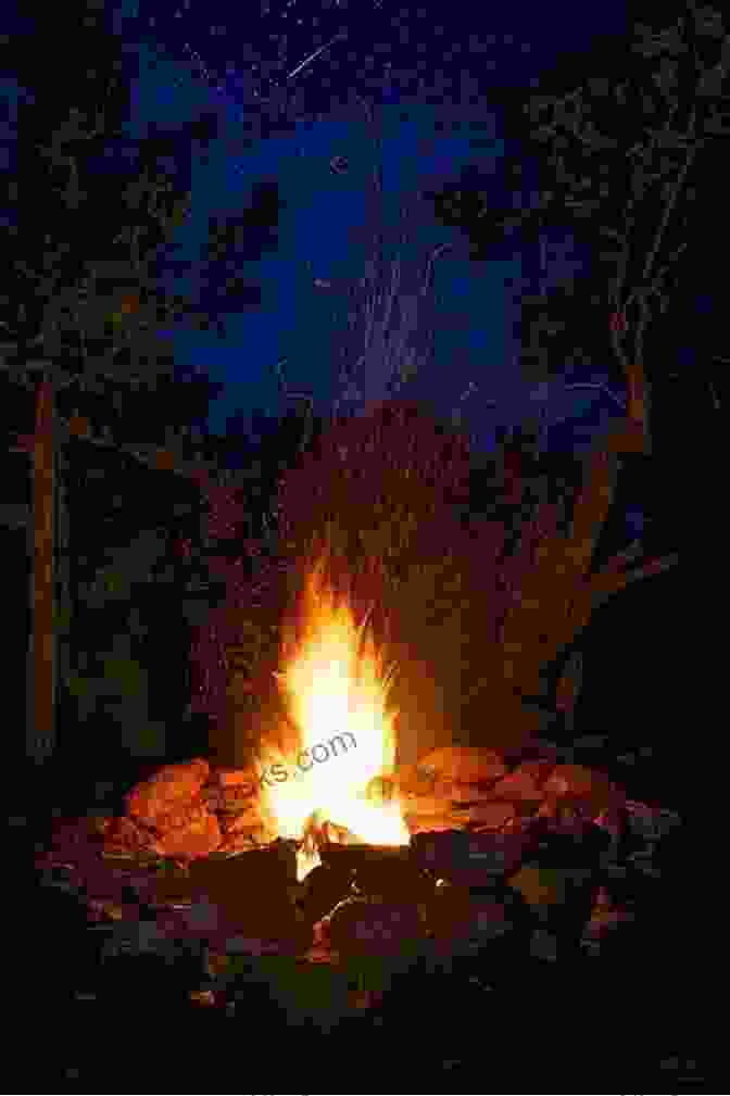 A Campfire Burning Under A Starry Night Sky, Highlighting The Aesthetic And Reflective Qualities Of Fire. HOW TO UPDATE AND RESET FIRE: A Well Simplified Guide For Fire Users