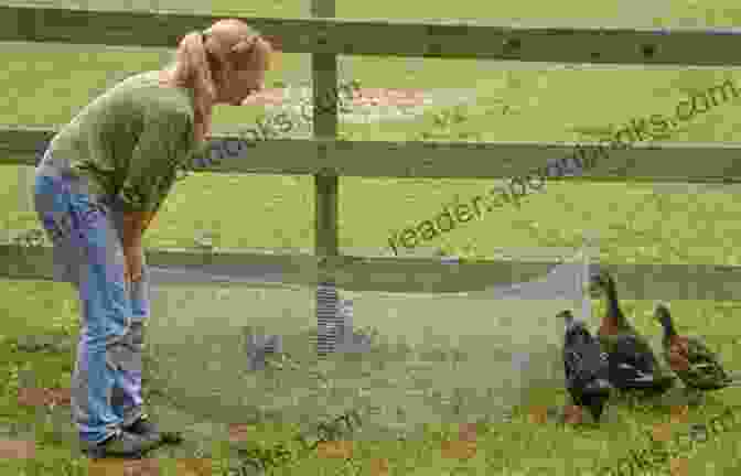 A Family Enjoying Fresh Eggs From Their Backyard Flock Backyard Chickens: How To Have A Happy Flock (Backyard Homesteading 2)