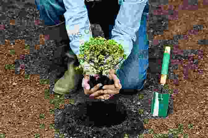 A Person Planting A Tree, Symbolizing The Creation Of A Lasting Legacy 10 Things Someone Told Me Earlier