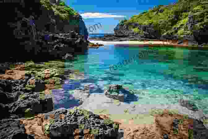 A Secluded Cove With Crystal Clear Water A TRIP TO THE BEACH: Poetry By The Sea