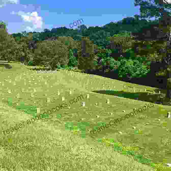 A Serene View Of The Vicksburg National Cemetery, Showcasing Its Rows Of White Headstones Against A Backdrop Of Lush Greenery. A Walking Tour Of Vicksburg Mississippi (Look Up America Series)