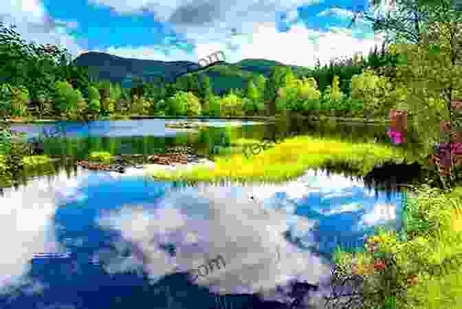 A Tranquil Lake Surrounded By Lush Greenery, With Leaves Gently Rippling The Water's Surface. Leaves Rippling The Water Lehanne R