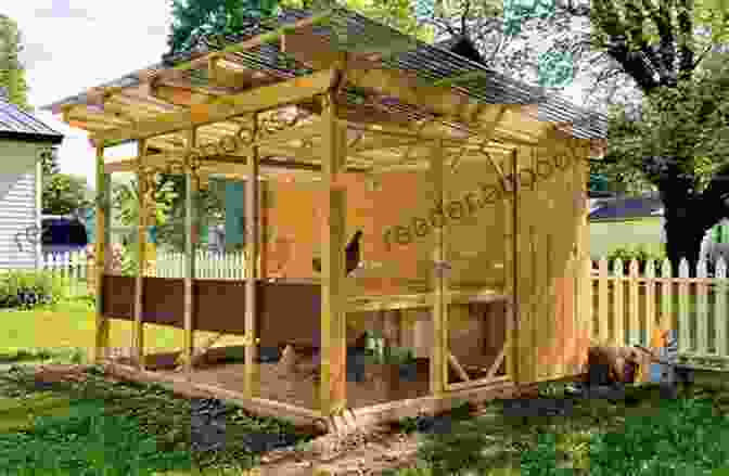 A Well Designed Chicken Coop Backyard Chickens: How To Have A Happy Flock (Backyard Homesteading 2)