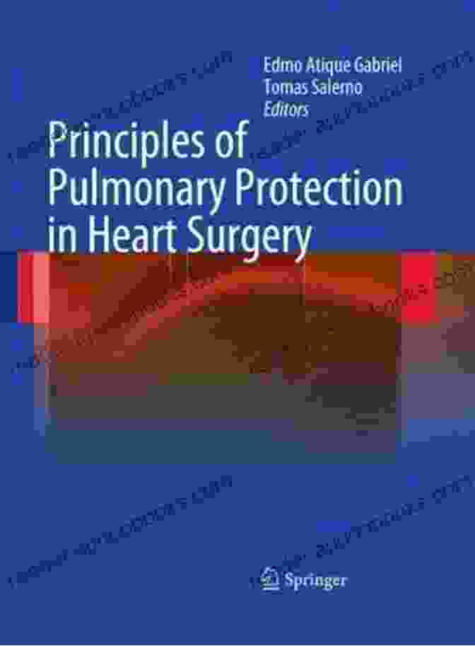 Book Cover Of Principles Of Pulmonary Protection In Heart Surgery Principles Of Pulmonary Protection In Heart Surgery