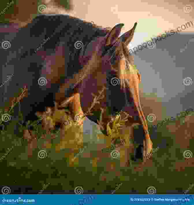 Brown Horse Grazing Peacefully In A Lush Meadow Wagging Tales: Every Animal Has A Tale