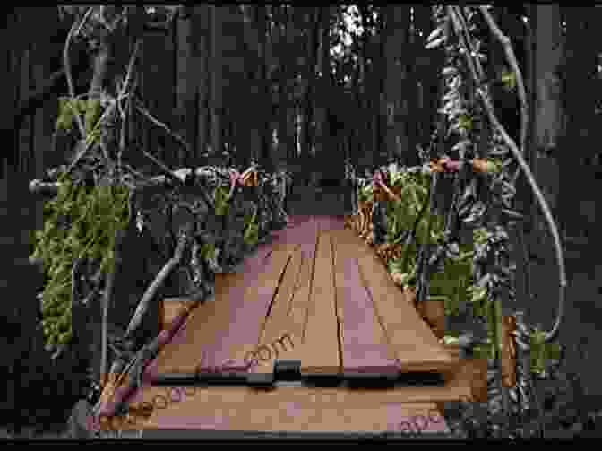 Captivating Cover Of Bridge To Terabithia, Featuring Vibrant Forest Colors And A Treehouse Perched Amidst The Canopy Bridge To Terabithia Katherine Paterson