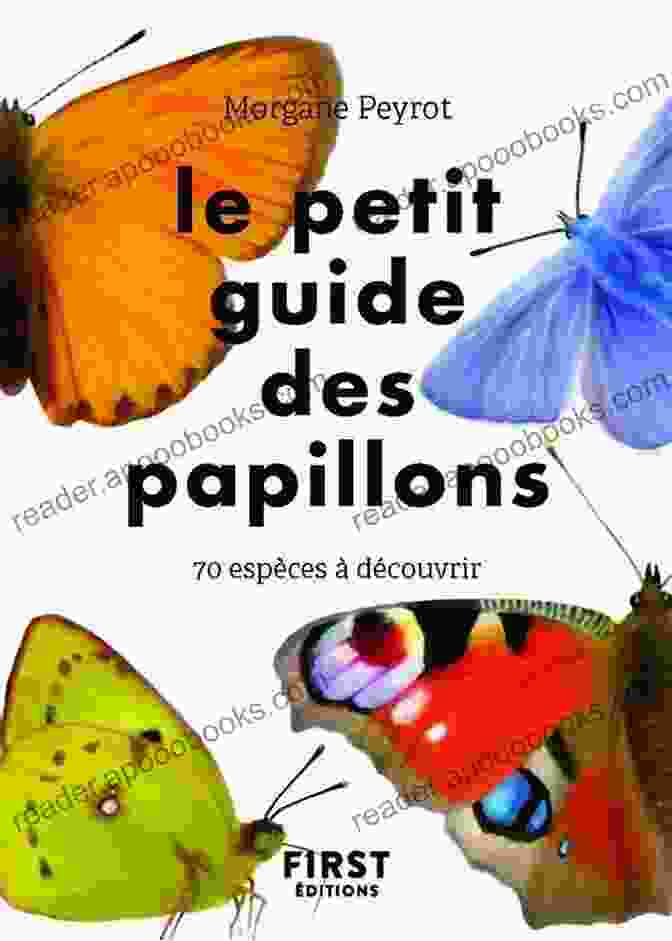 Cover Of Le Petit Guide Des Papillons