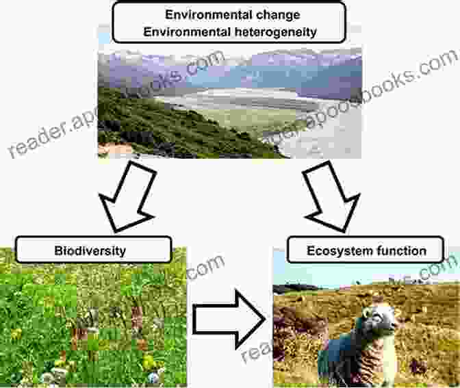 Ecology: The Interplay Of Life And Environment Marine Protected Areas: A Multidisciplinary Approach (Ecology Biodiversity And Conservation)