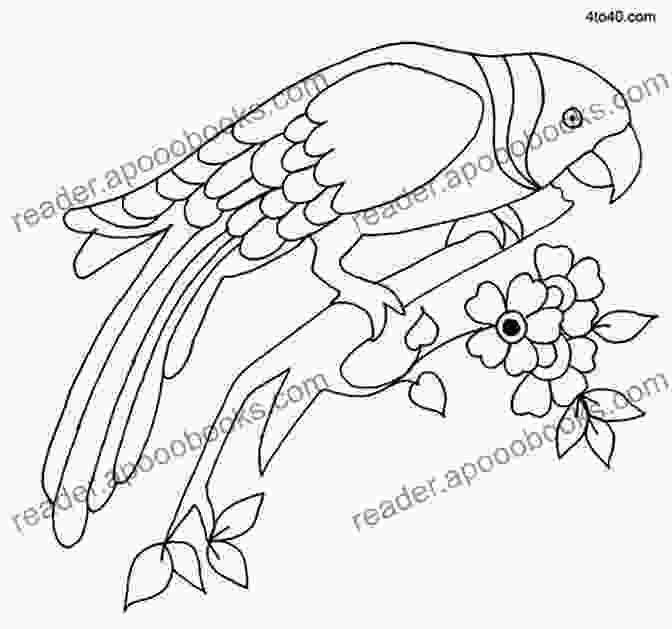 Hand Embroidery Pattern Featuring A Vibrant Parrot Hand Embroidery Patterns Kathy Doughty