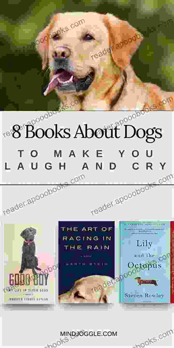 Heartwarming Dog Novel Books As The Stars Fall: A Heartwarming Dog Novel (Books For Dog Lovers 1)