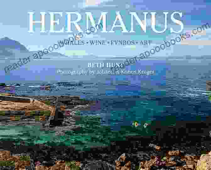 Hermanus Book Cover Featuring A Woman With Her Back To The Reader, Looking Out At A Vast Ocean Hermanus Julia Phillips