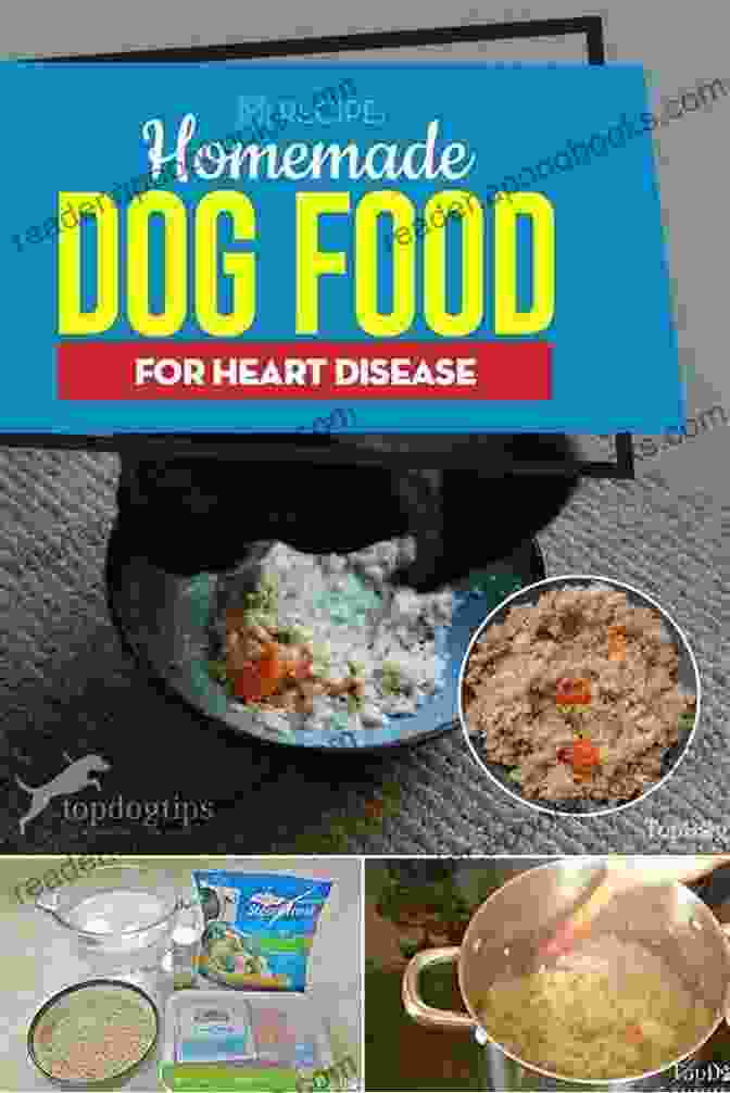 Homemade Dog Meal Troubleshooting Home Cooking For Your Dog Quick Easy: Healthy Recipes For The Healthier Dogs: The Definitive Guide To Homemade Meals (Home Cooking For Dogs)