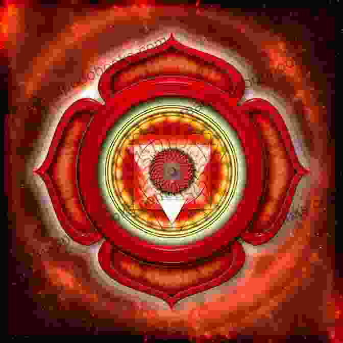 Image Of The Root Chakra Chakra Insights (Book 6) Our Roots