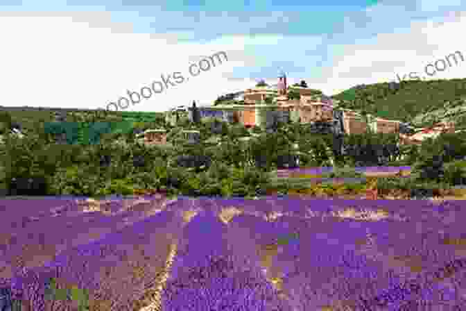 Lavender Fields In Provence Frommer S EasyGuide To Provence And The French Riviera (Easy Guides)