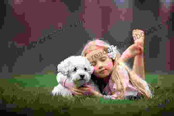 Ode To Pipper Popper Book Cover Featuring A Young Girl And Her Dog On A Colorful Background Ode To Pipper Popper Katy Boyer