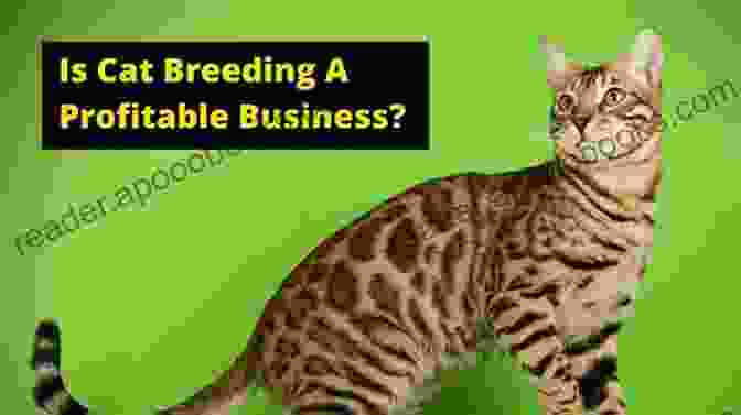 Profitable Cat Breeding Business CAT BREEDING BUSINESS GUIDE: Essential Breeder S Handbook To Help Start A Cat Breeding Business For Profit