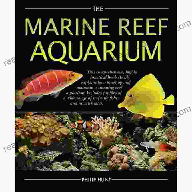 Reef Aquarium Fishes Hardcover Book By Scott W. Michael Reef Aquarium Fishes Scott W Michael