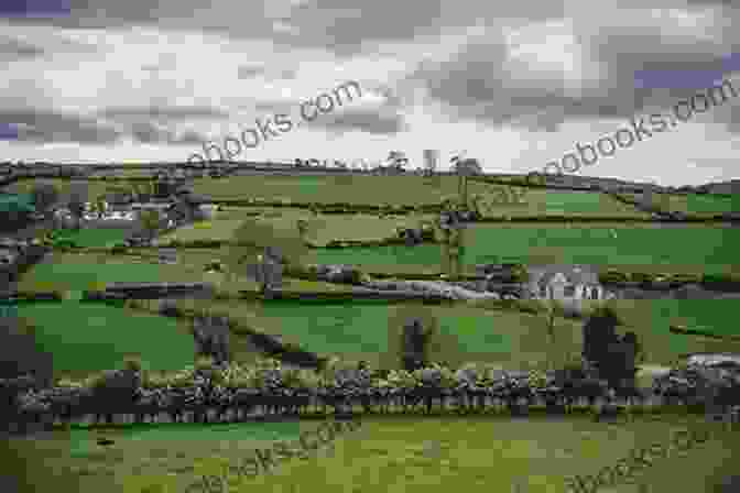 Rolling Green Hills And A Charming Cottage In The Irish Countryside An Irish Country Girl: A Novel (Irish Country 4)