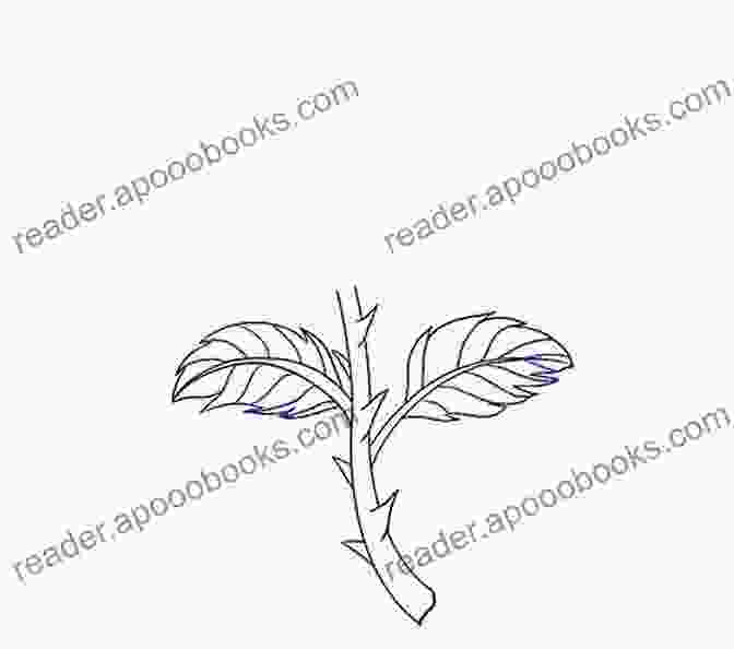 Step 4: Draw The Stem How To Draw A Sunflower In Six Easy Steps