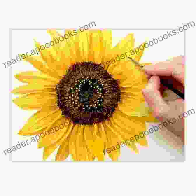 Step 6: Color Your Sunflower How To Draw A Sunflower In Six Easy Steps