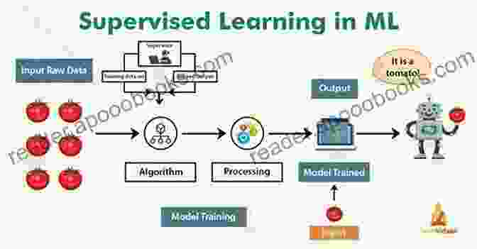 Supervised Learning Algorithms In Machine Learning Machine Learning: A Step By Step Guide To Machine Learning With Python And Algorithms For Beginners