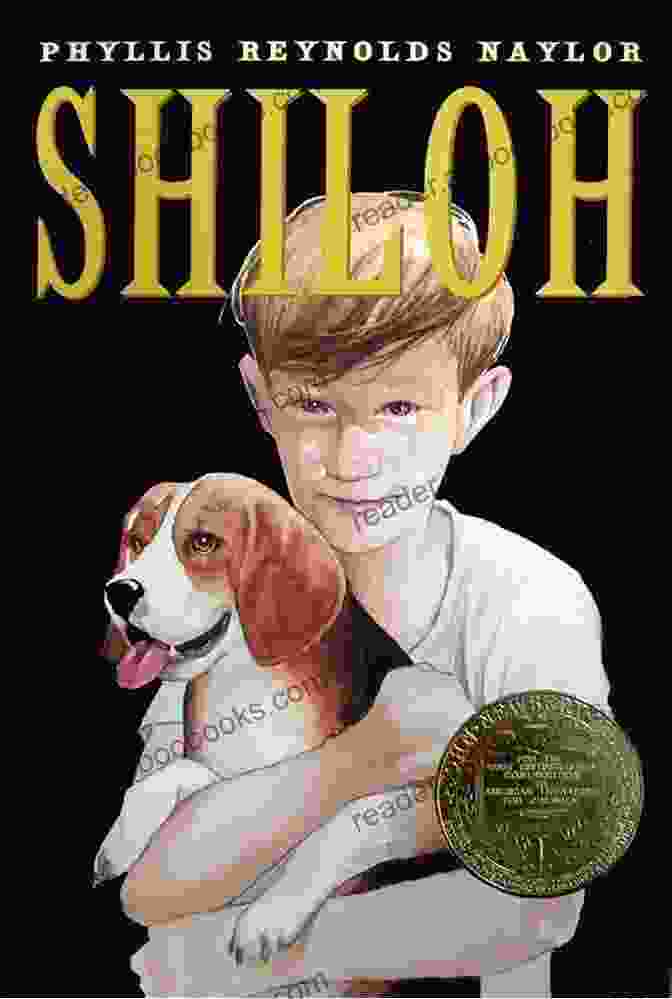 The Boys Of Shiloh Book Cover The Boys Of Shiloh June Hall McCash