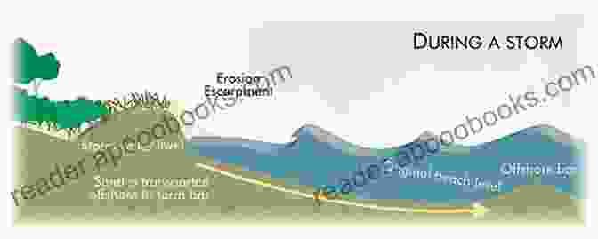 Tranquil Beach And Lush Dunes Showcasing The Regenerative Power Of Restoration Efforts Beach And Dune Restoration Karl F Nordstrom