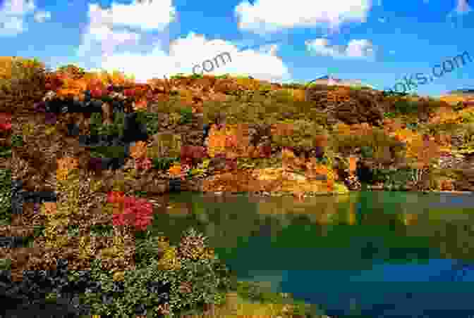 Vibrant Autumn Foliage And Tranquil Waters Of Katama Bay Autumn Secrets (A Katama Bay 4)