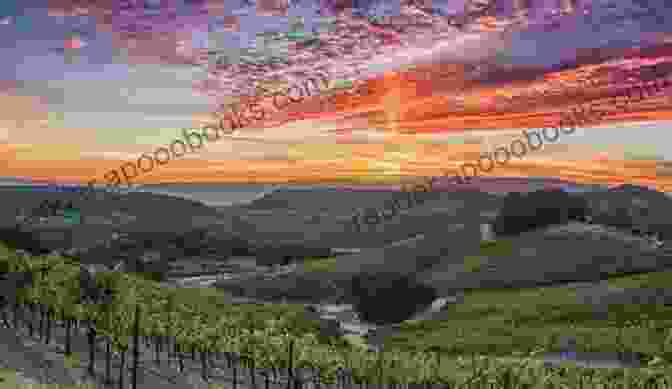 Vineyard Thanksgiving At The Vineyard Sunset A Vineyard Thanksgiving (The Vineyard Sunset 4)