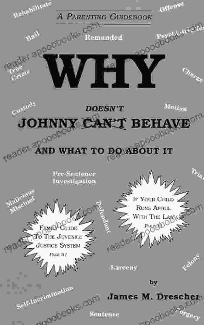 Why Johnny Doesn't Behave Book Cover Why Johnny Doesn T Behave: Twenty Tips And Measurable BIPs