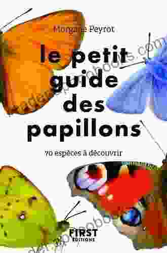 Le petit guide des papillons