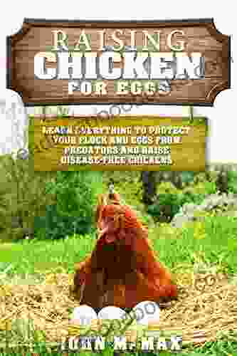 Raising Chickens For Eggs: Learn Everything To Protect Your Flock And Eggs From Predators And Raise Disease Free Chickens (Backyard Homesteading 2)