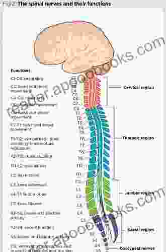 Neurosurgery Tricks Of The Trade: Spine And Peripheral Nerves