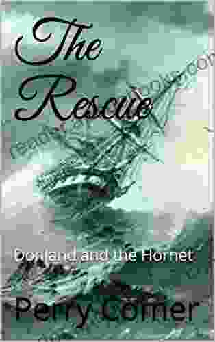 The Rescue: Donland and the Hornet