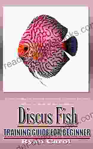 DISCUS FISH TRAINING GUIDE FOR BEGINNER: Understanding the common behavioral lightening patterns and care of discus fish and its abilities