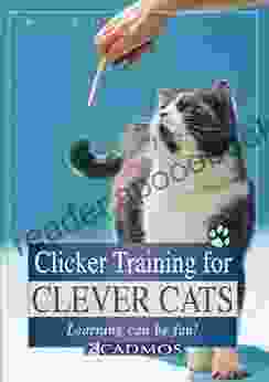 Clicker Training For Clever Cats: Learning Can Be Fun