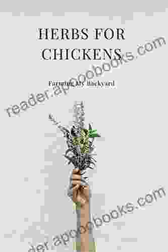 Herbs For Chickens Kathryn Robles