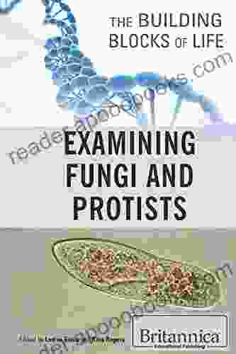 Examining Fungi And Protists (Building Blocks Of Life)